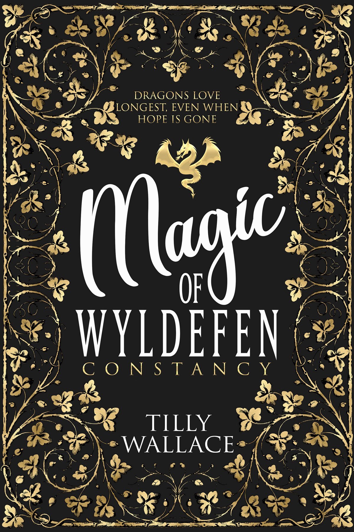Cover of Constancy (2024)