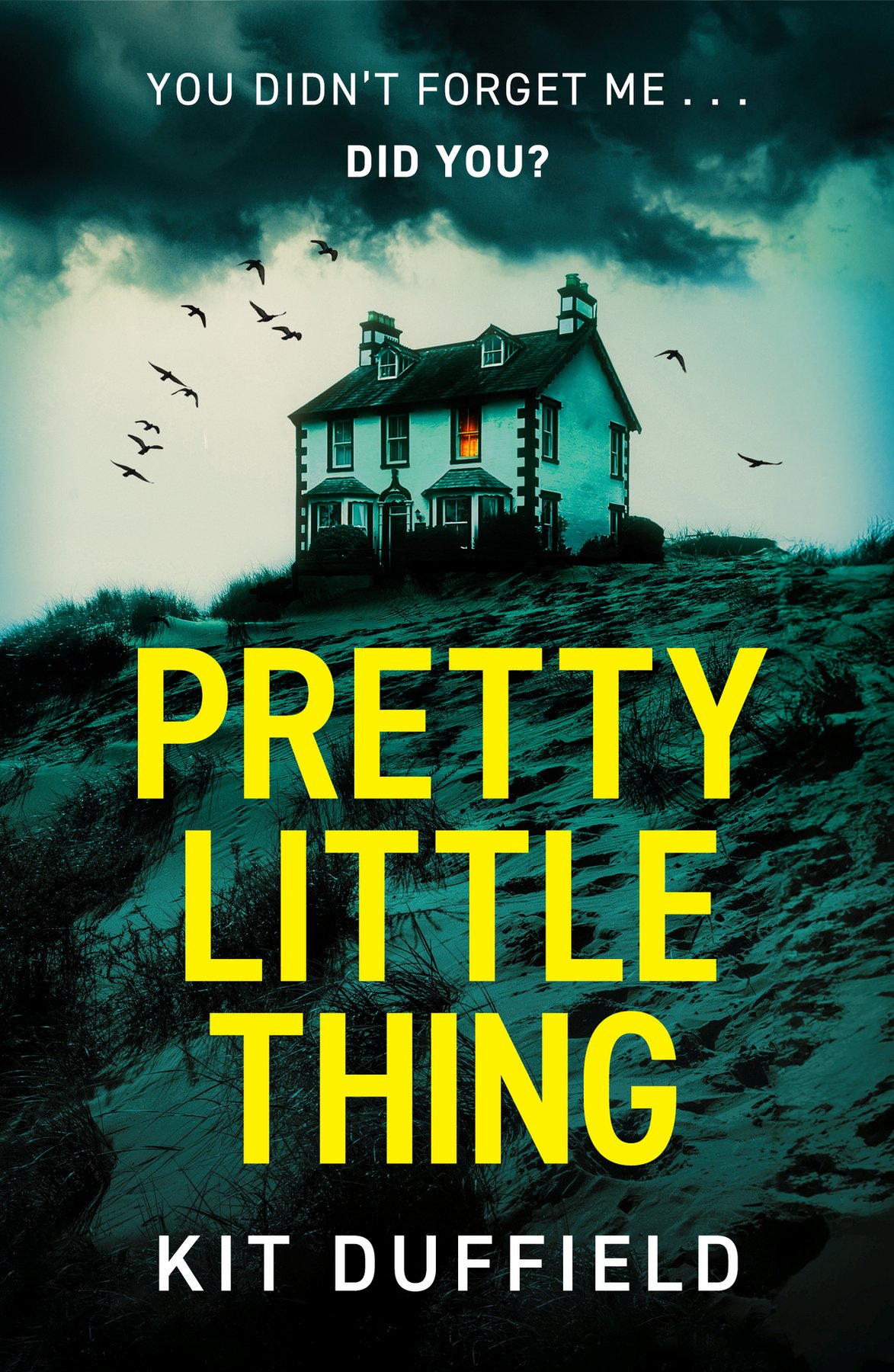 Cover of Pretty Little Thing