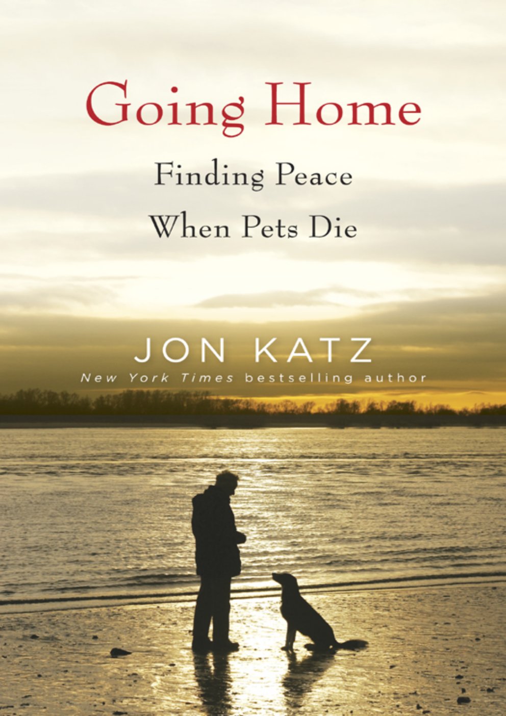 Cover of Going Home