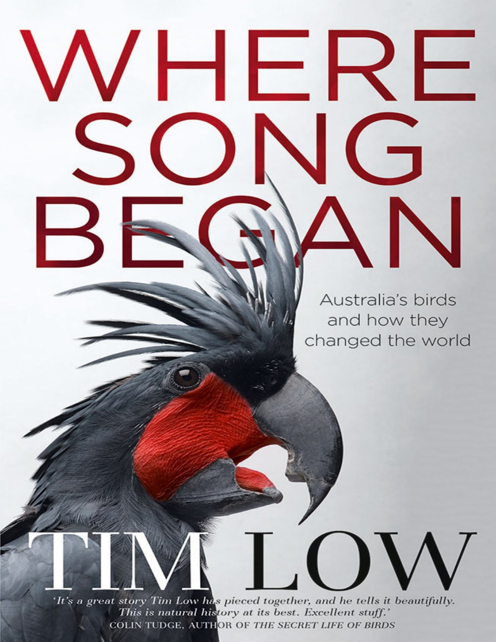 Cover of Where Song Began