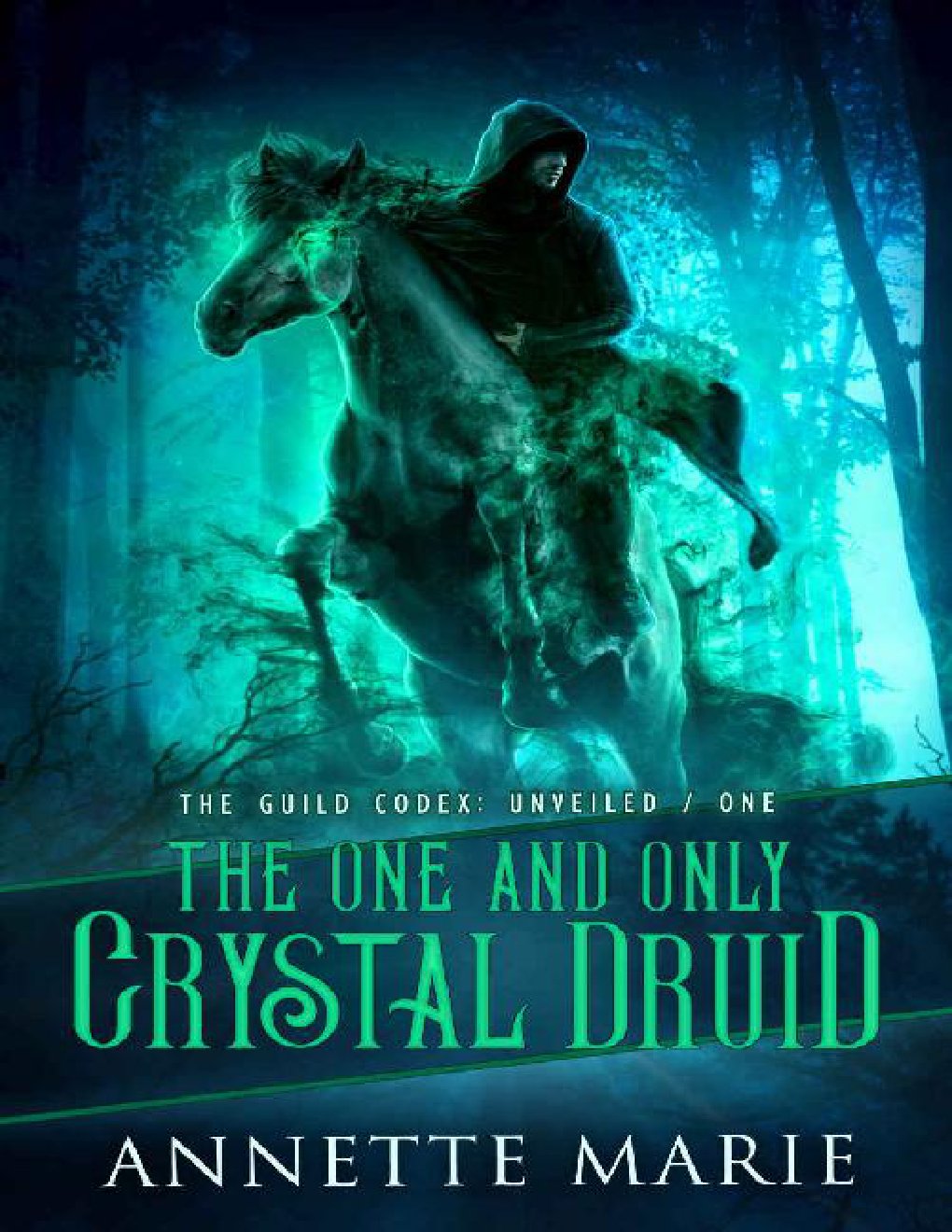 Cover of The One and Only Crystal Druid (The Guild Codex: Unveiled Book 1)