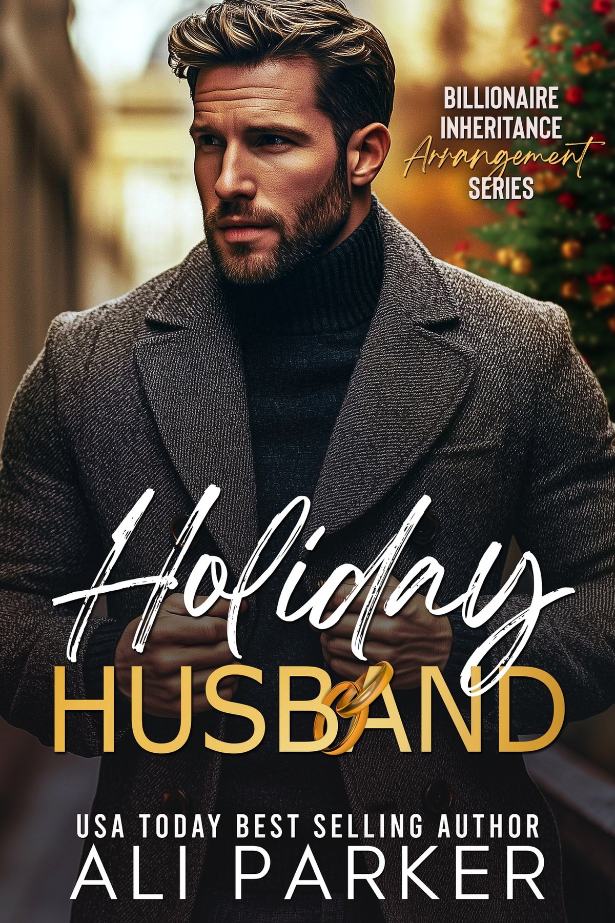 Cover of Holiday Husband (2025)