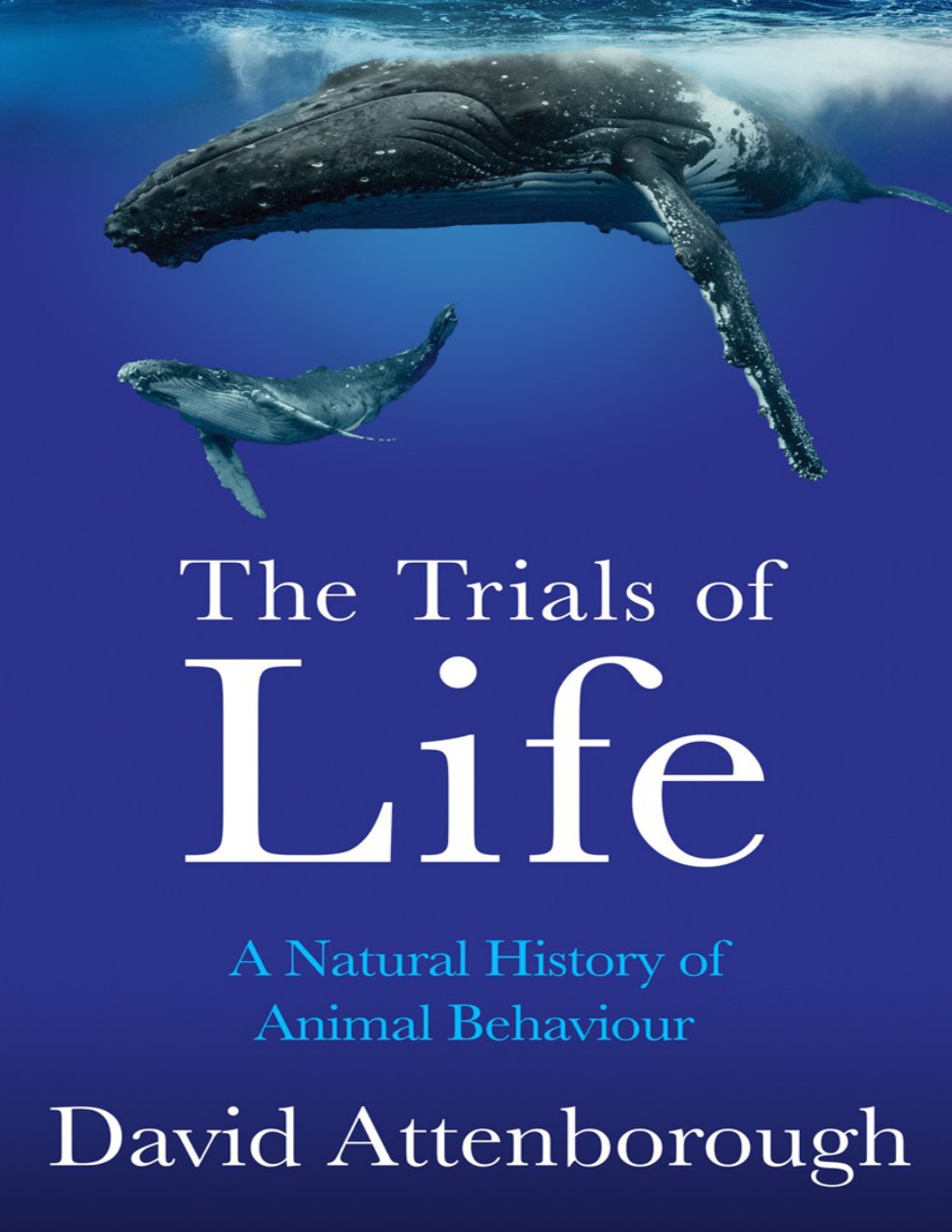 Cover of The Trials of Life
