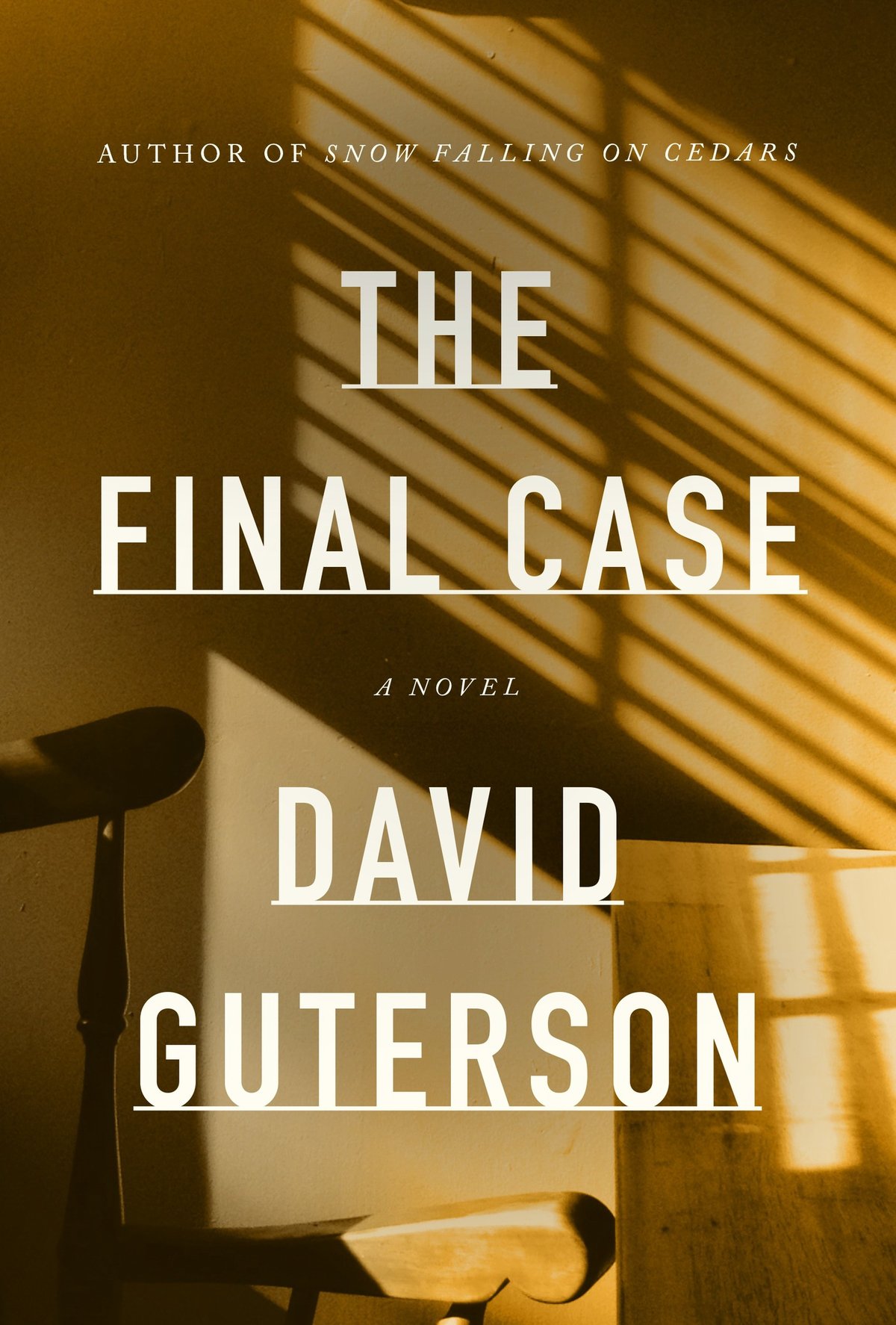 Cover of The Final Case; A novel (1986)