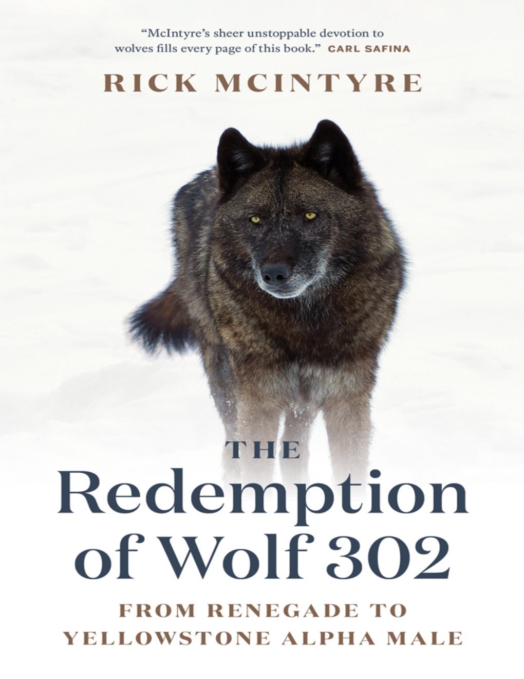 Cover of The Redemption of Wolf 302