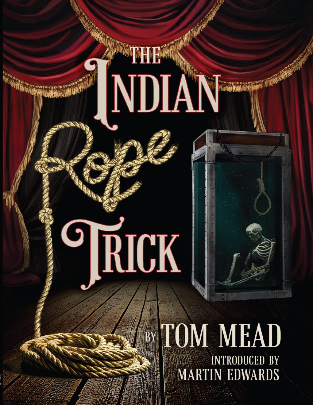 Cover of The Indian Rope Trick And Other Violent Entertainments
