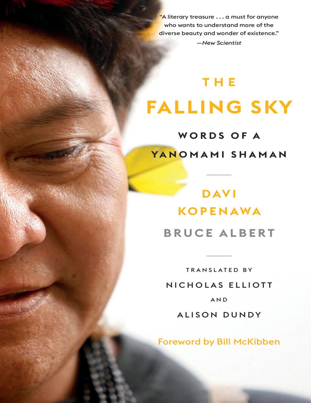 Cover of The Falling Sky