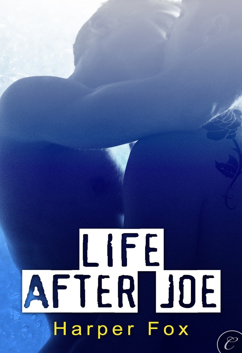 Cover of Life After Joe