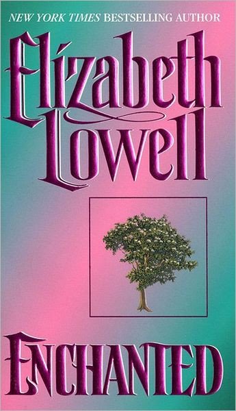 Cover of Enchanted