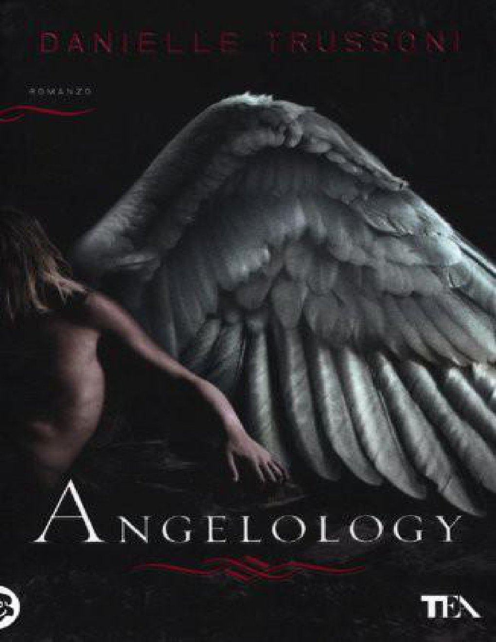 Cover of Angelology (1907)