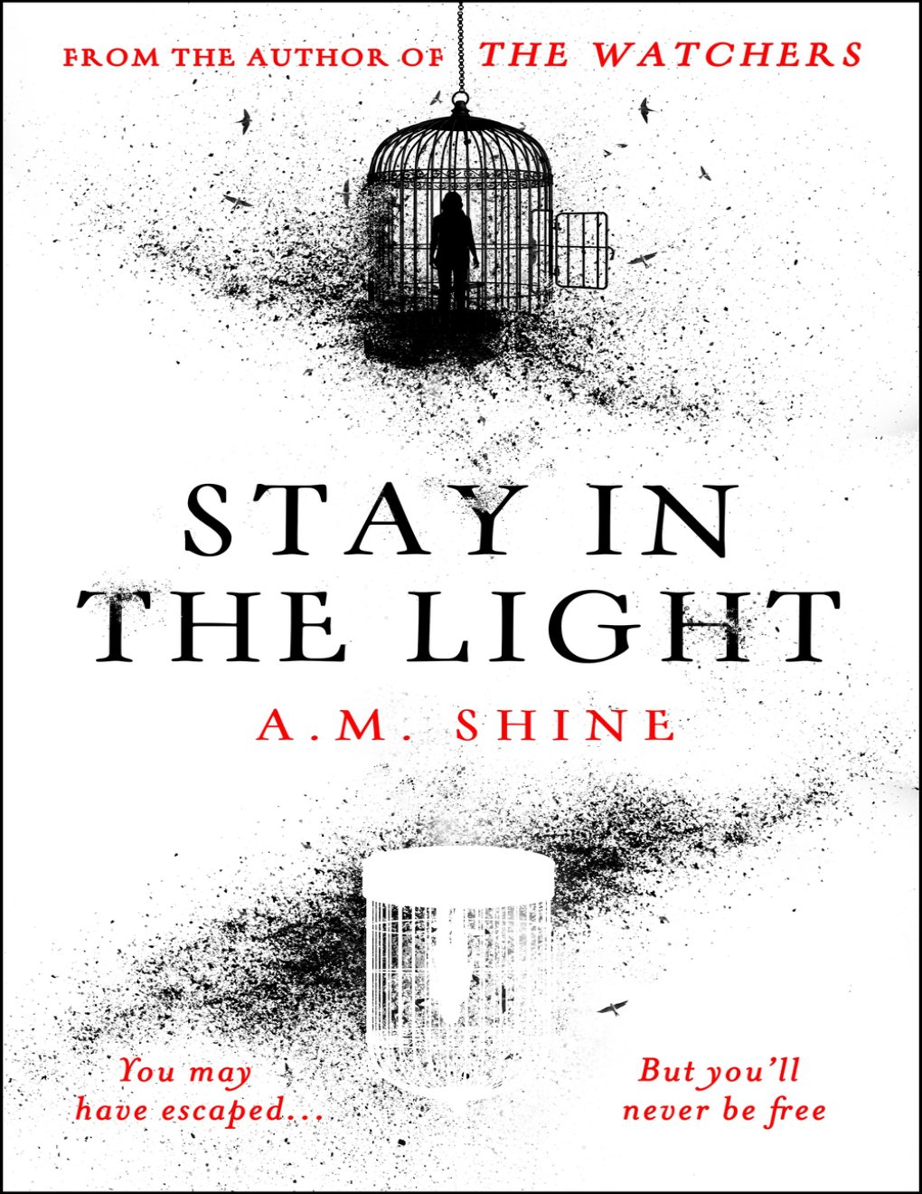 Cover of Stay in the Light