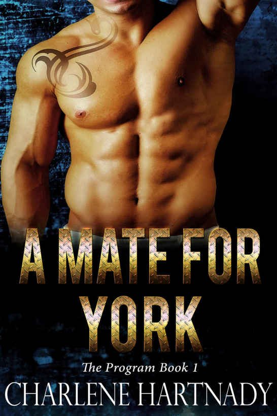 Cover of A Mate for York