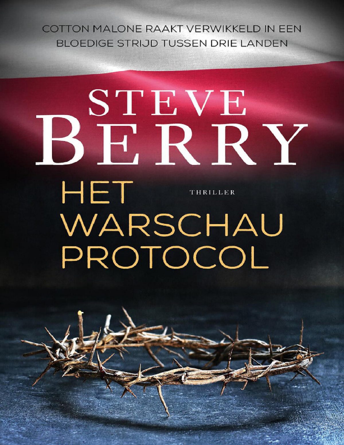 Cover of 15 Het Warschau-protocol (1988)