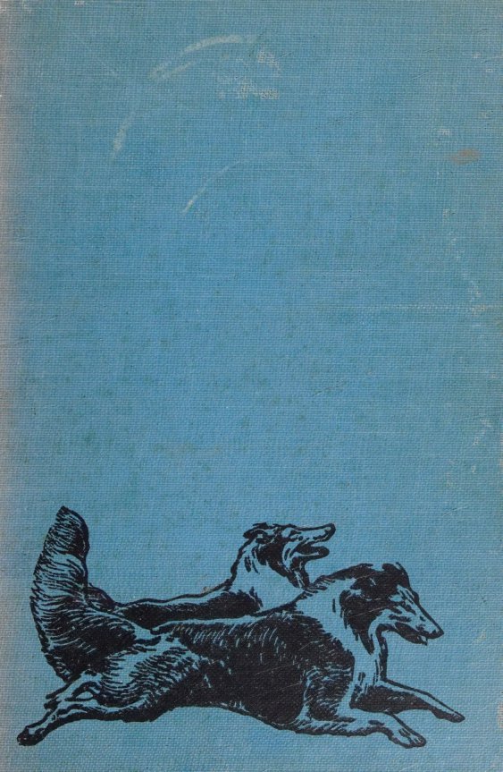 Cover of The Way of a Dog