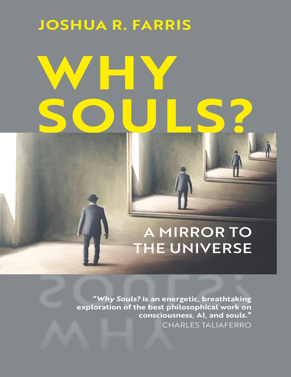 Cover of Why Souls?: A Mirror to the Universe