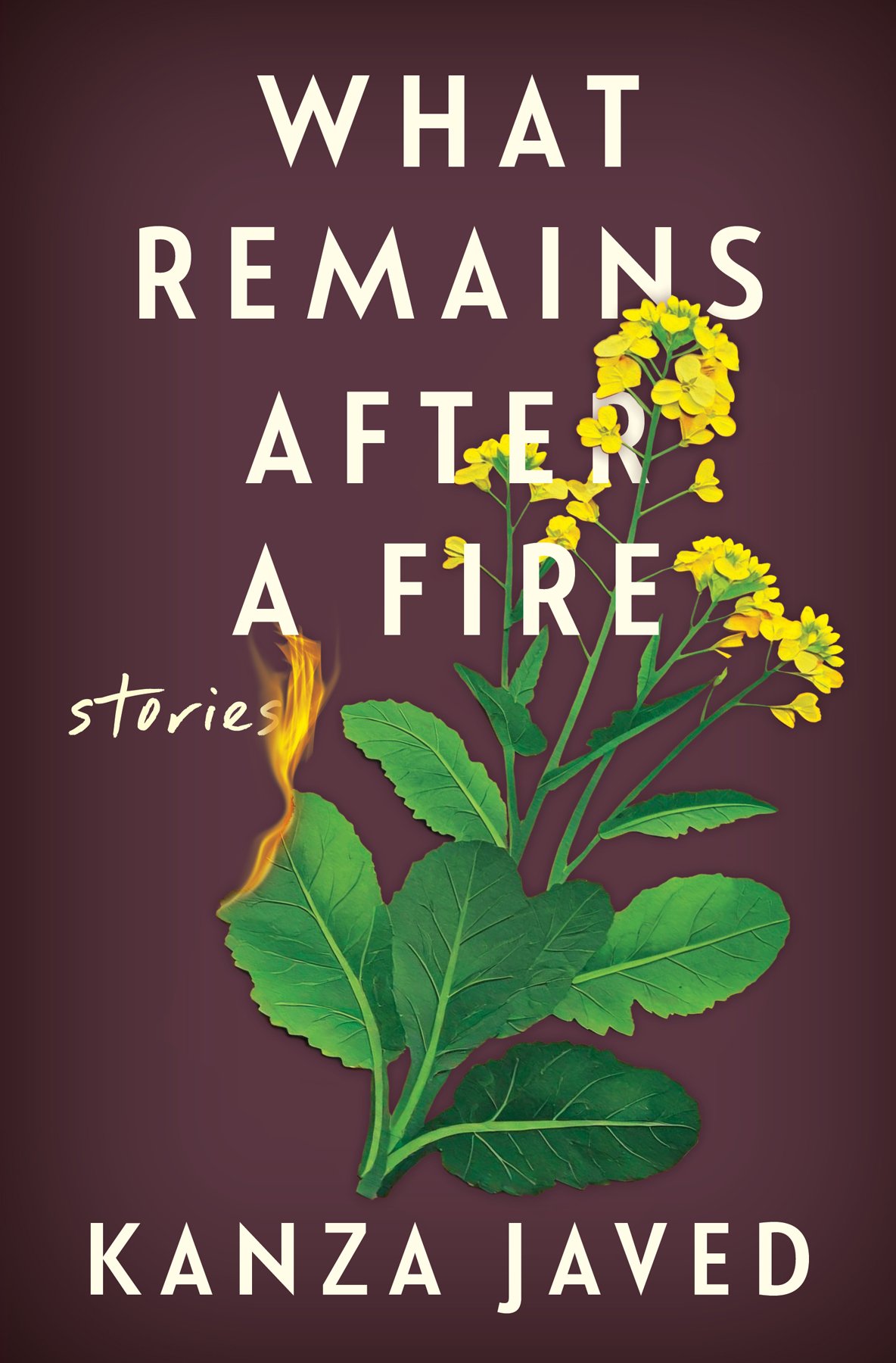 Cover of What Remains After a Fire (2025)