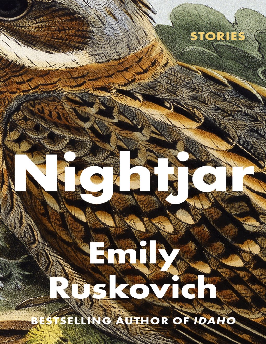 Cover of Nightjar: Stories