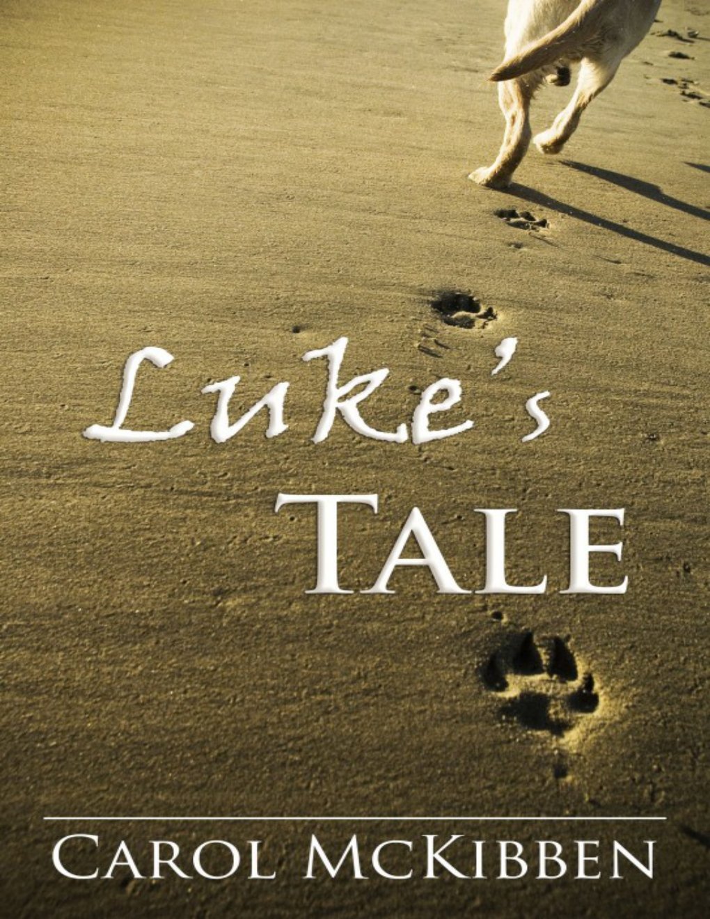 Cover of Luke's Tale