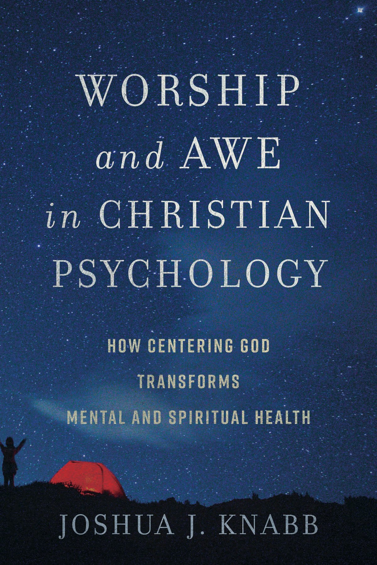 Cover of Worship and Awe in Christian Psychology (1973)