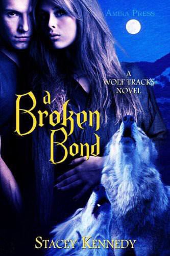 Cover of A Broken Bond (2011)
