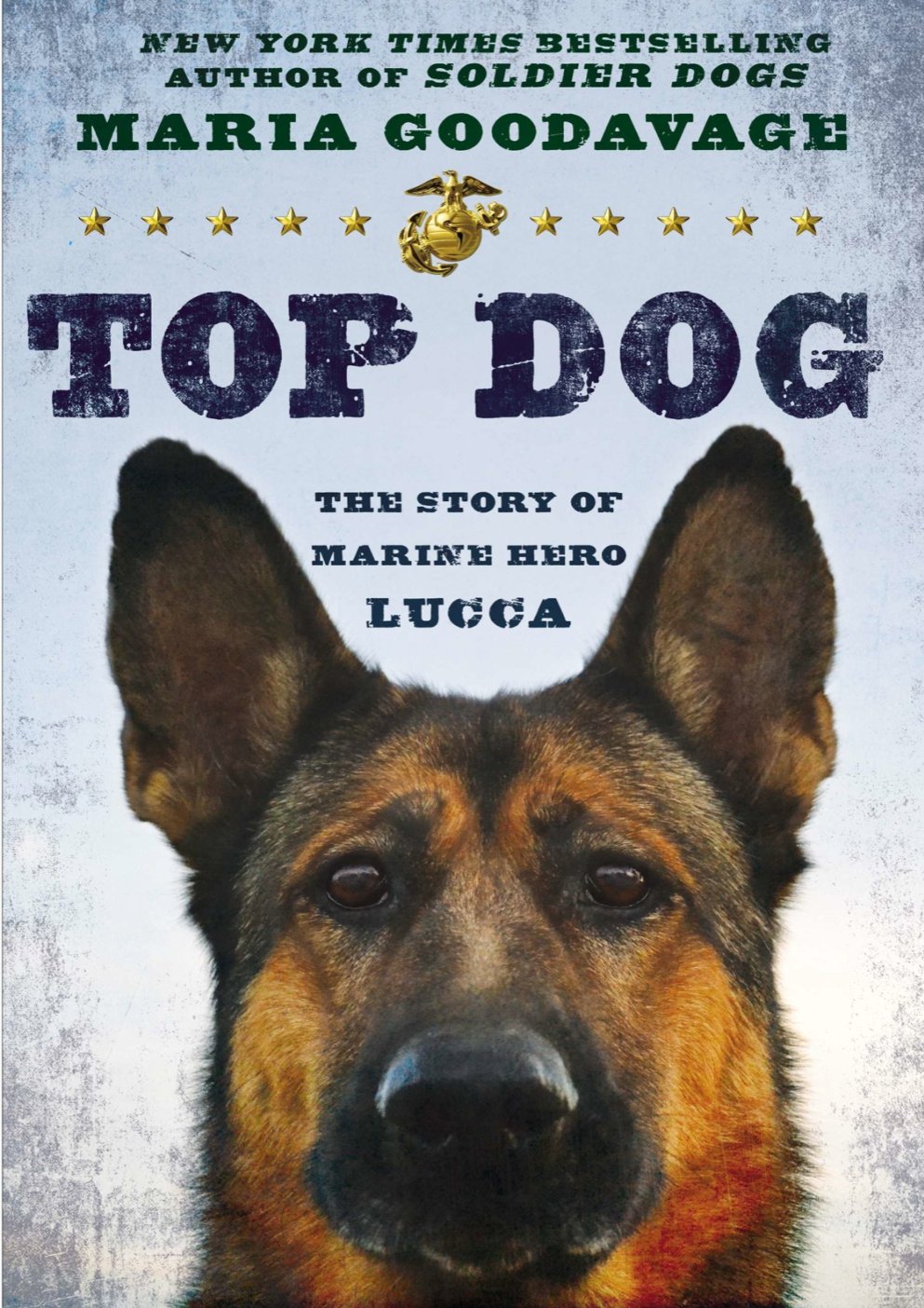 Cover of Top Dog
