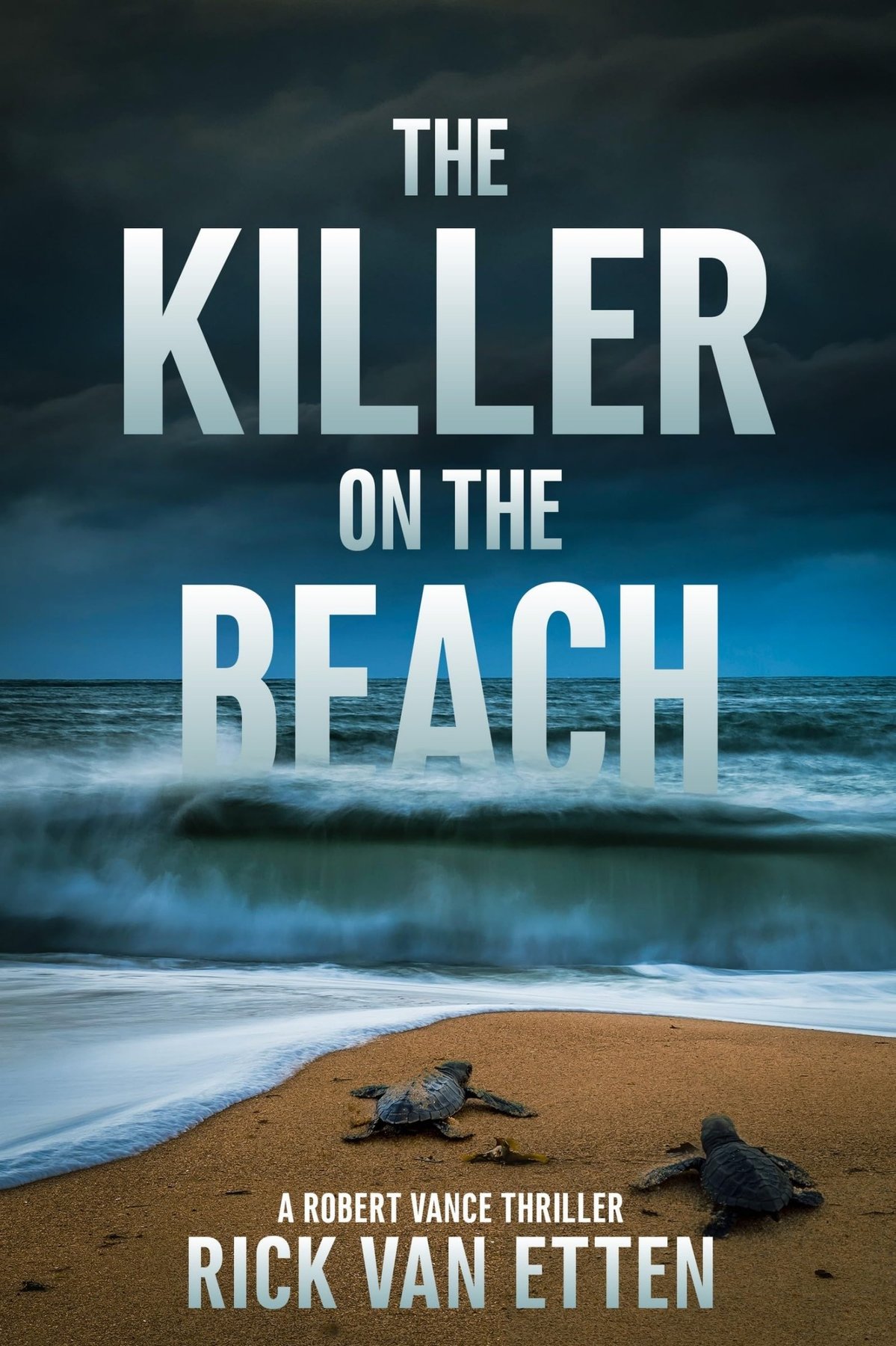 Cover of The Killer on the Beach