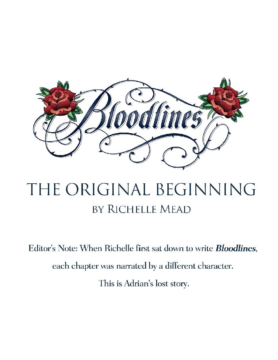 Cover of Adrian's Lost Chapter
