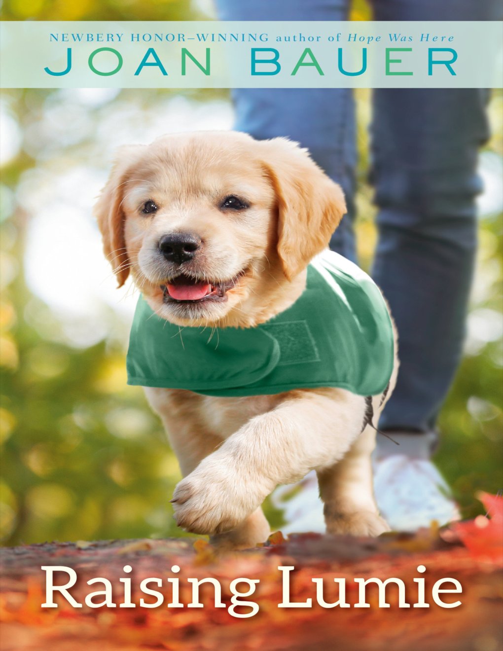 Cover of Raising Lumie