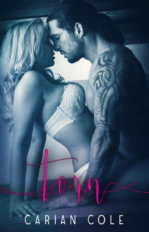 Cover of Torn (Devils Wolves Book 1)