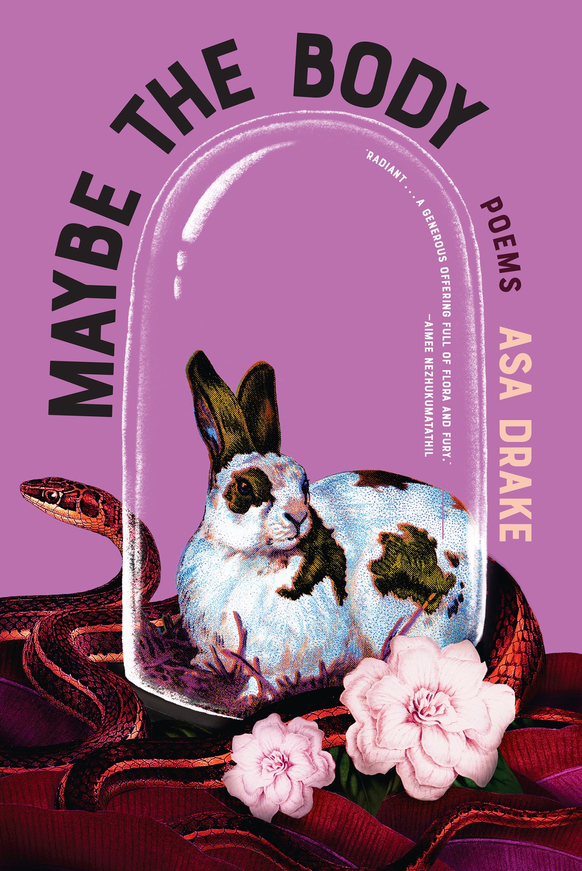 Cover of Maybe the Body
