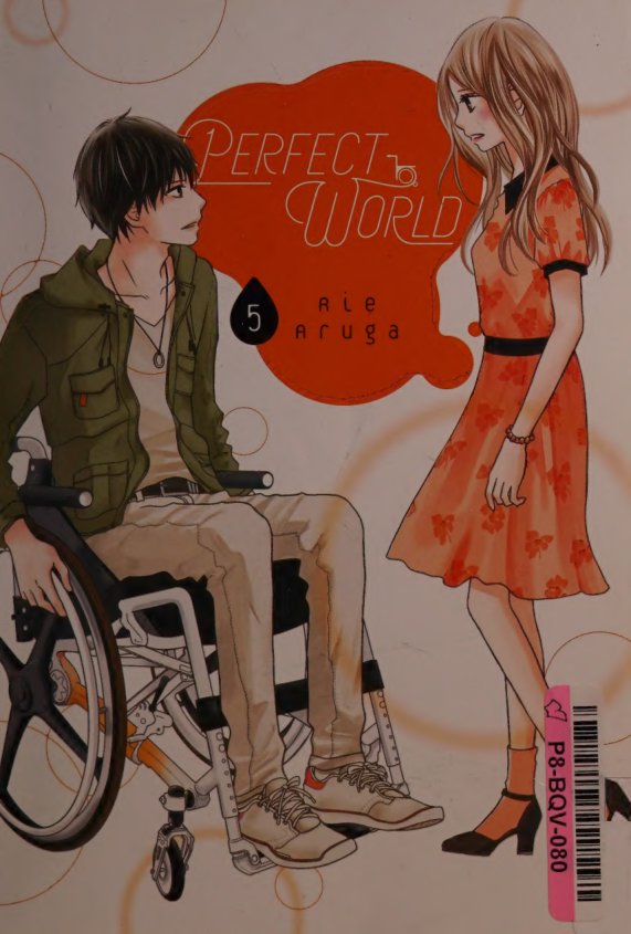 Cover of PERFECT WORLD