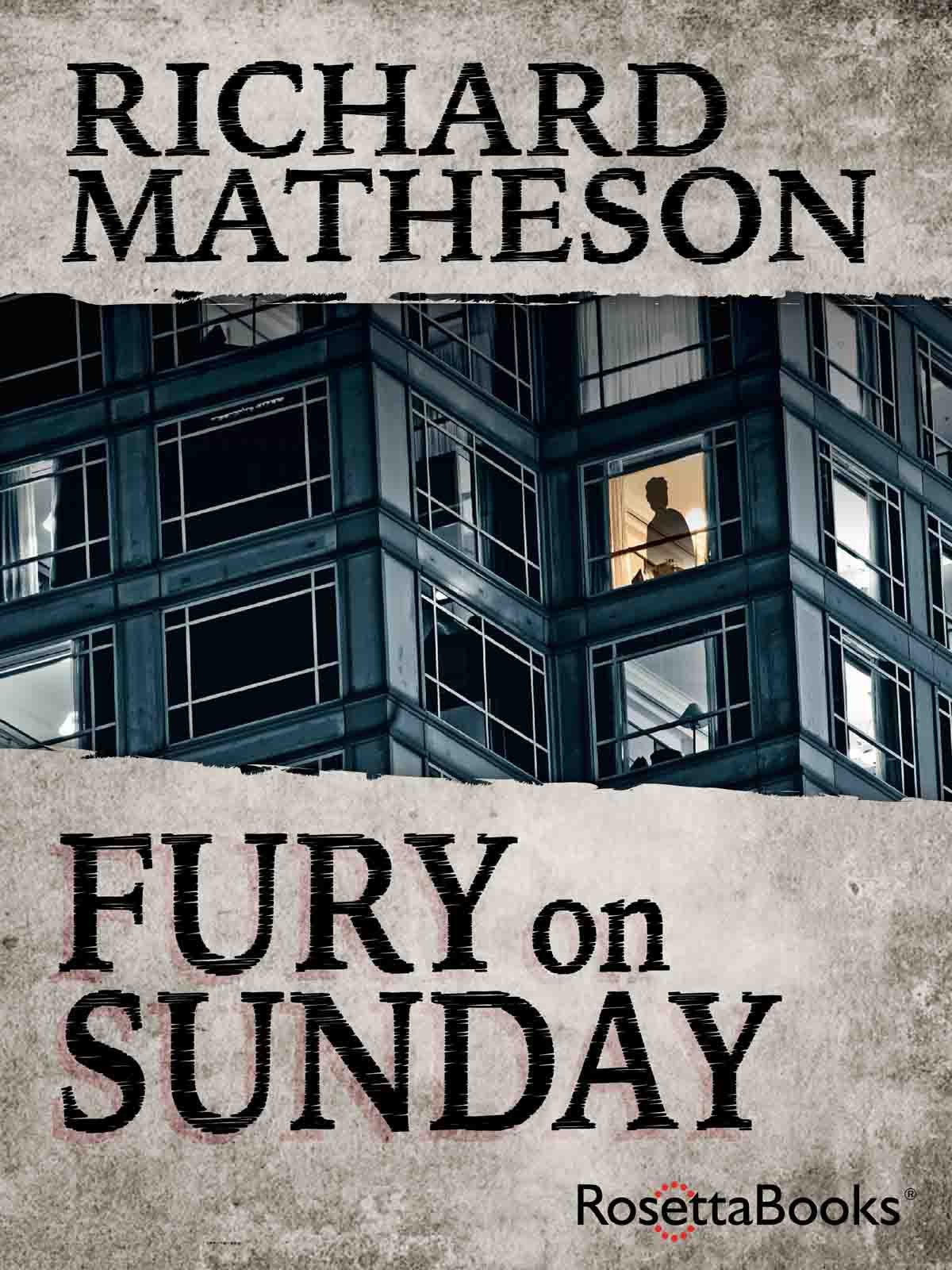 Cover of Fury on Sunday