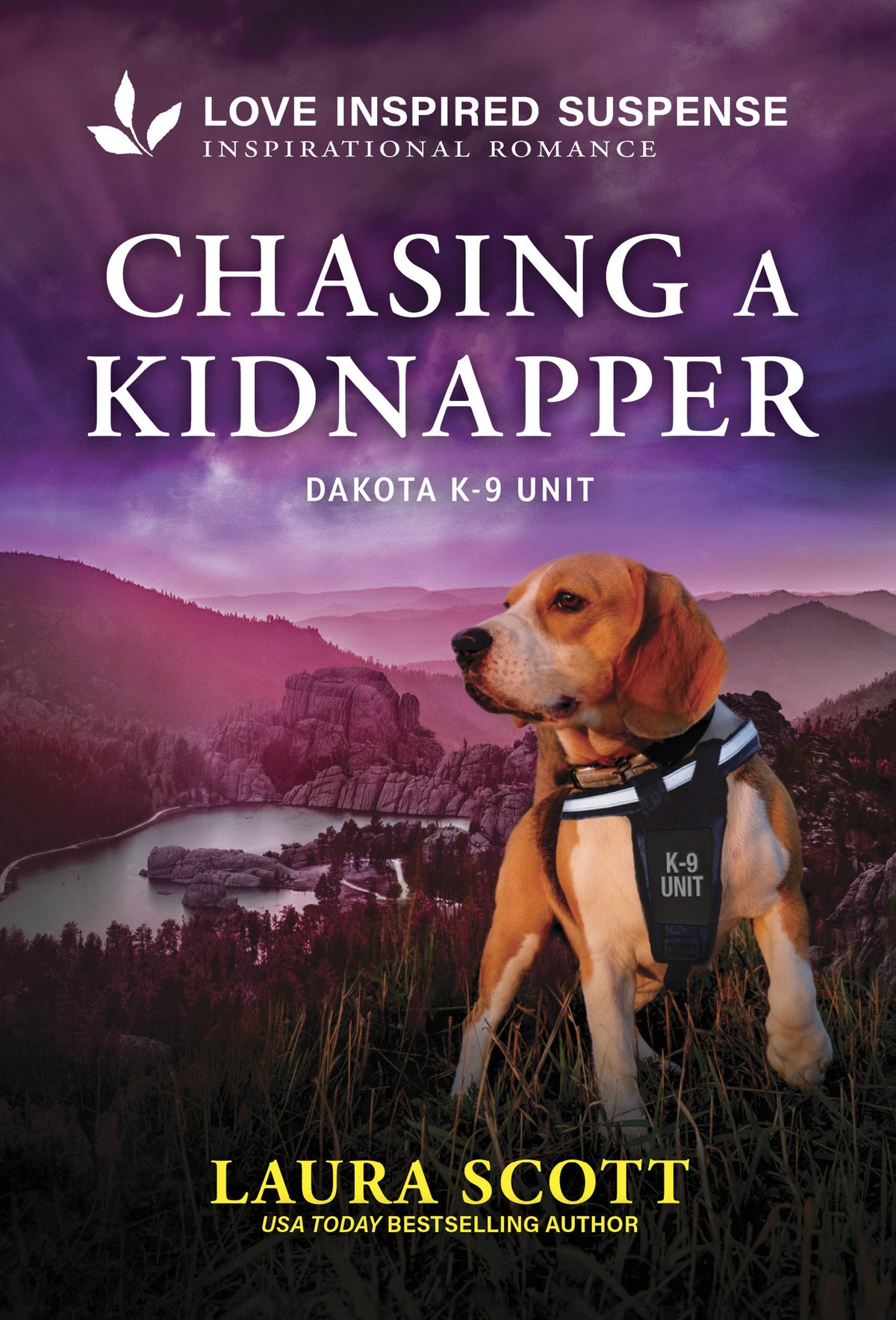 Cover of Chasing a Kidnapper (2025)
