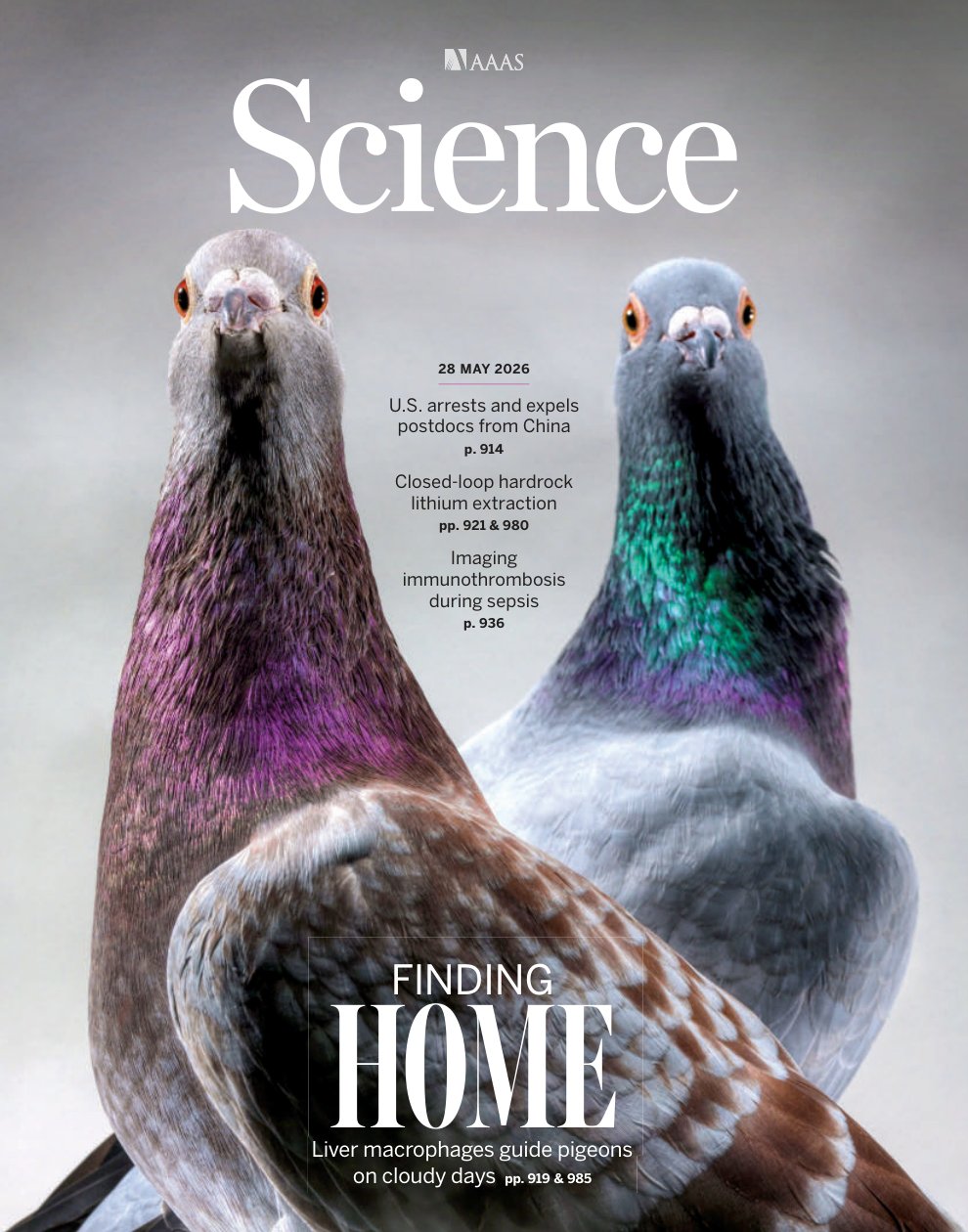Cover of FINDING