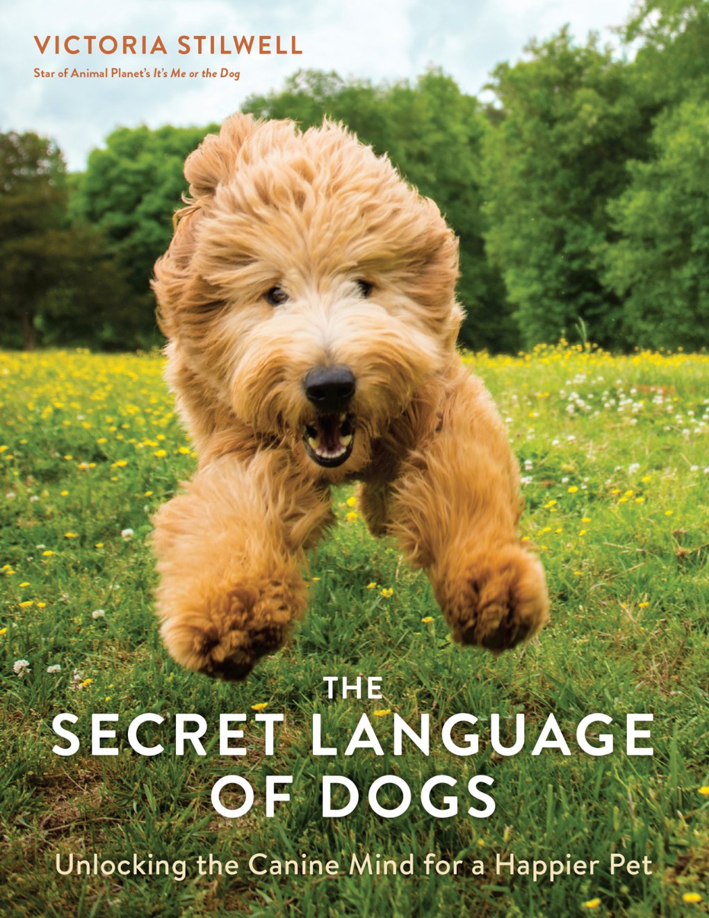 Cover of The Secret Language of Dogs
