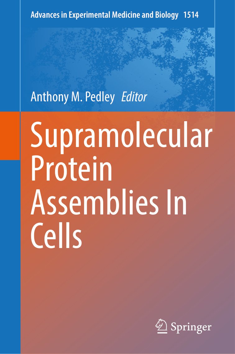 Cover of Supramolecular Protein Assemblies In Cells