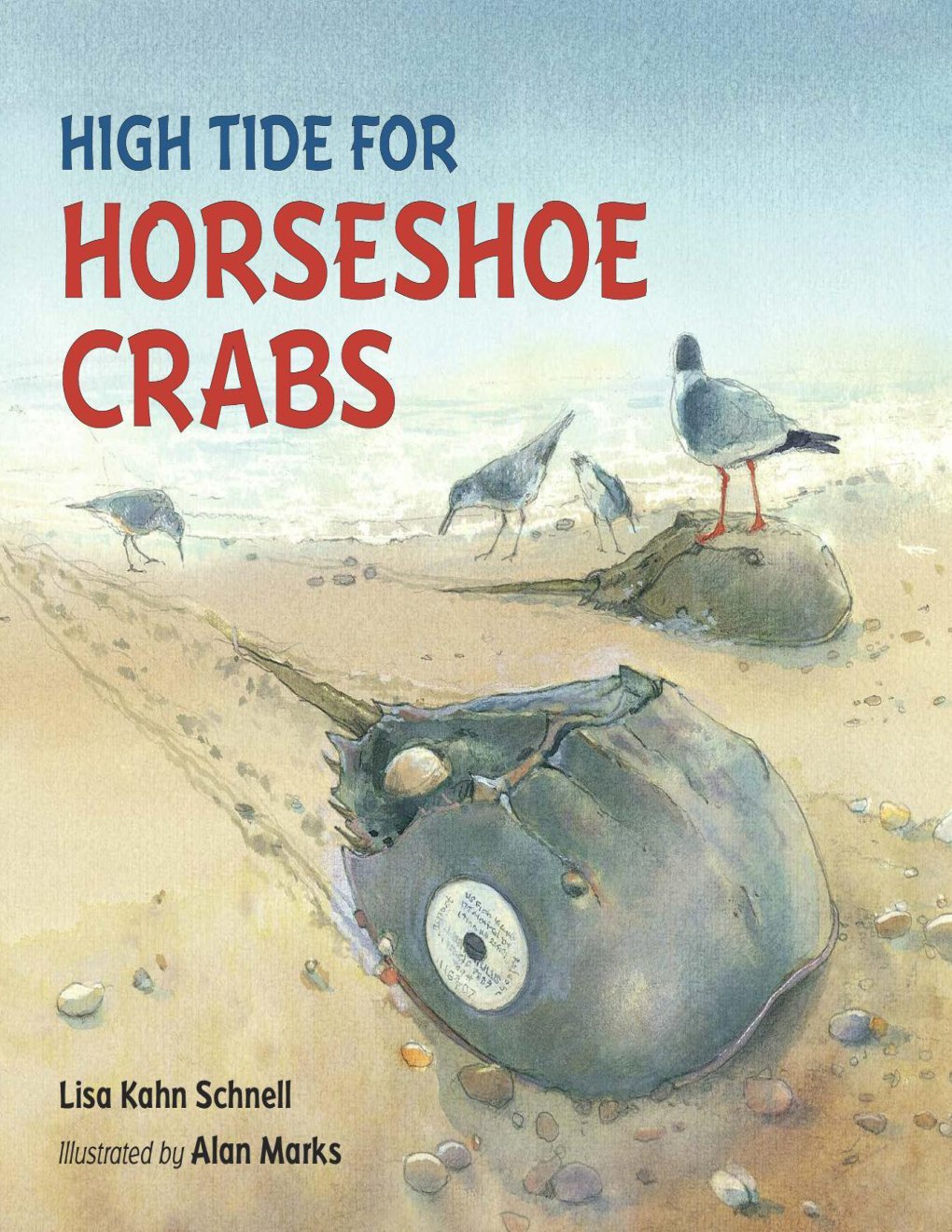 Cover of High Tide for Horseshoe Crabs
