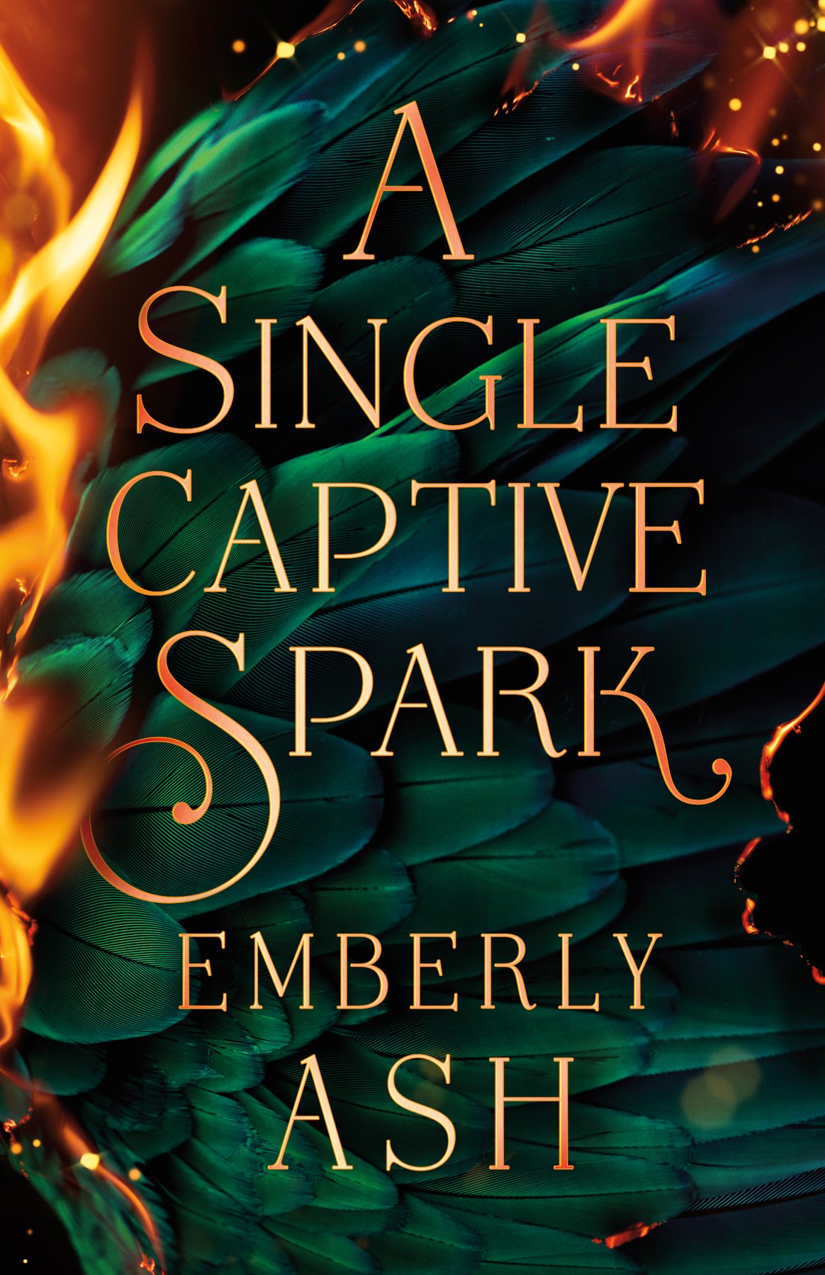 Cover of A Single Captive Spark (1855)