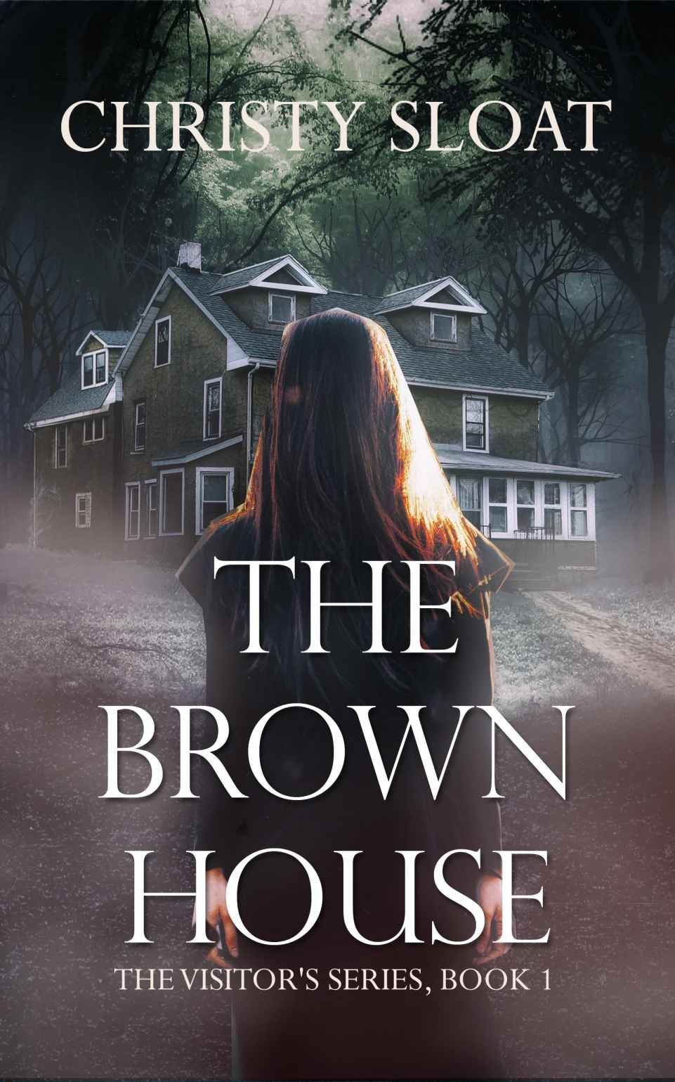 Cover of The Brown House (2012)