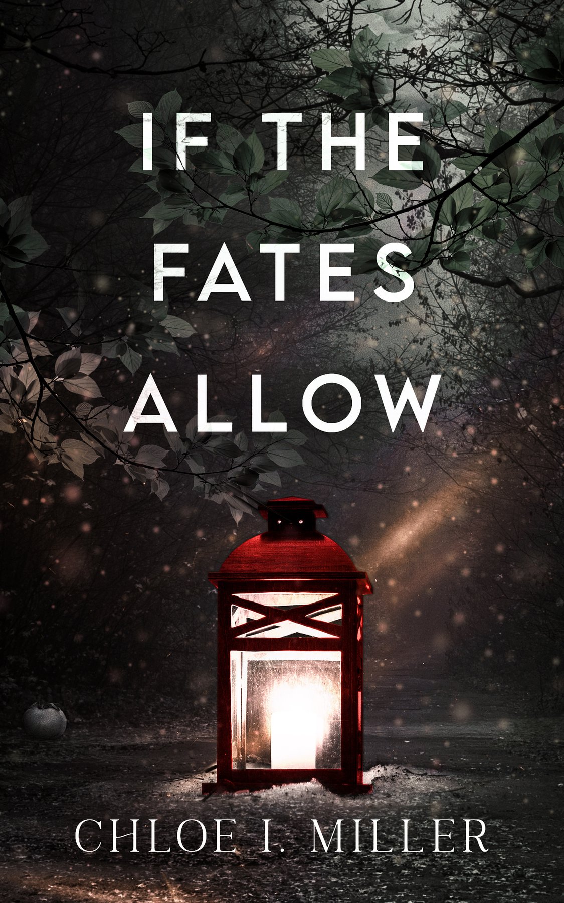 Cover of If The Fates Allow: a historical gothic holiday romance novella (Haven House)