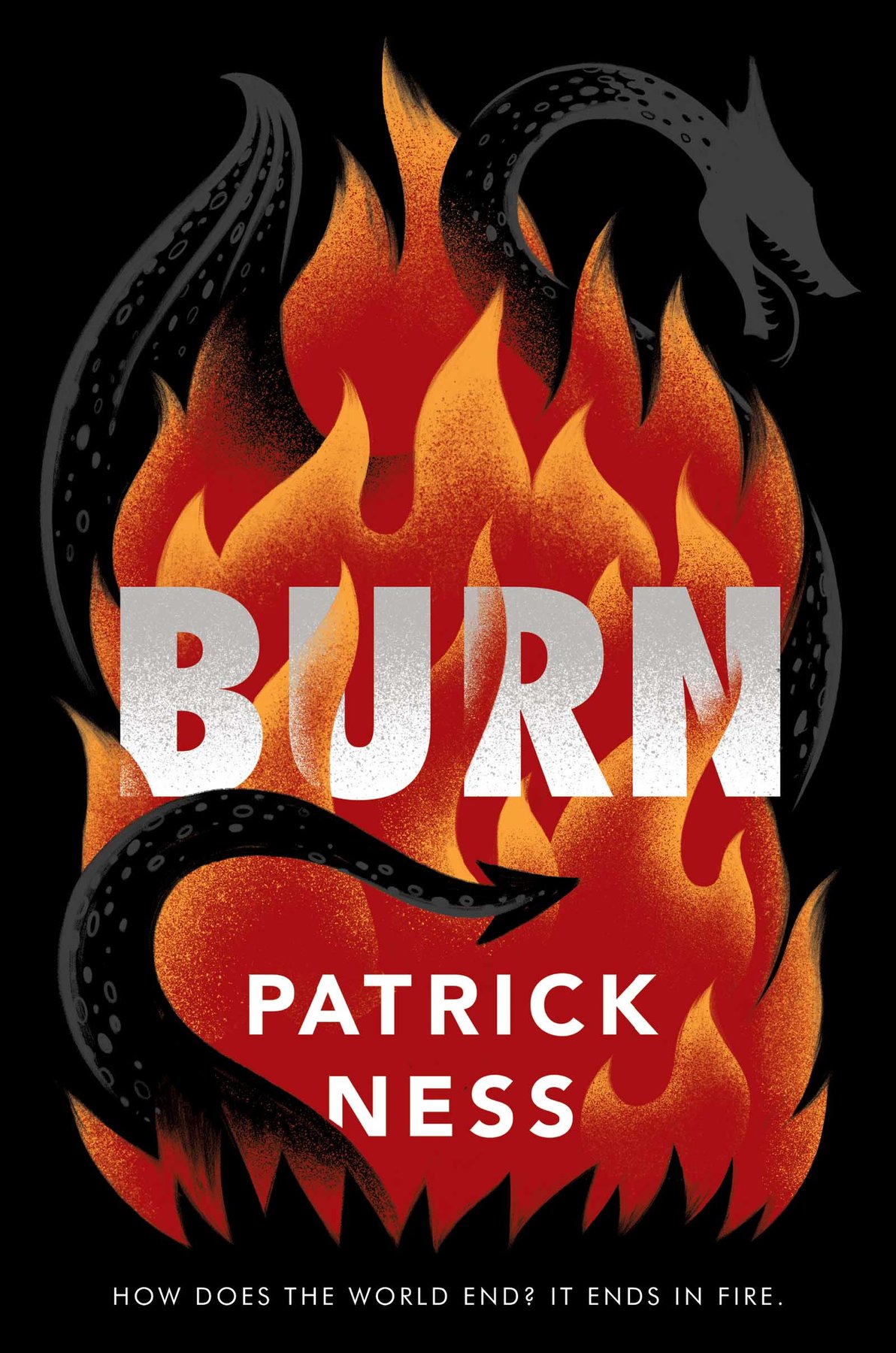 Cover of Burn