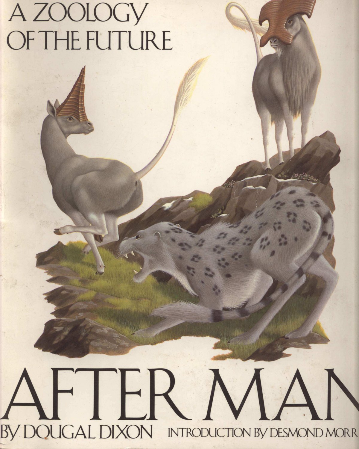 Cover of After Man