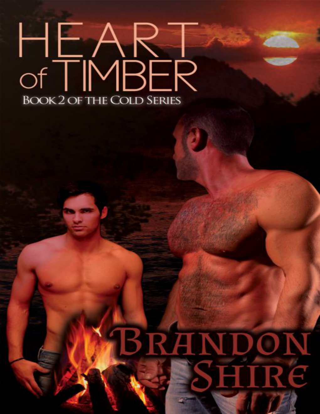 Cover of Heart of Timber