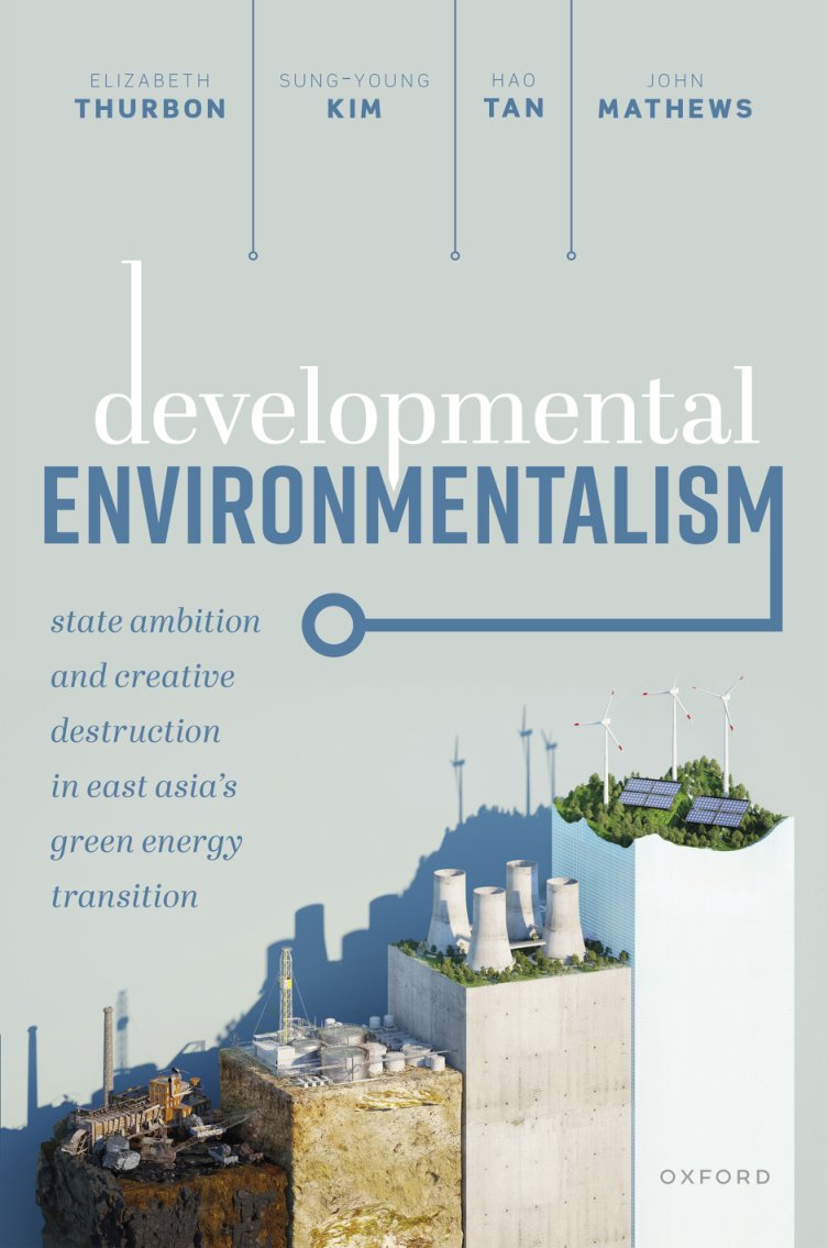 Cover of Developmental Environmentalism