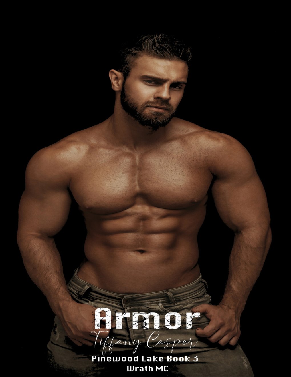 Cover of Armor