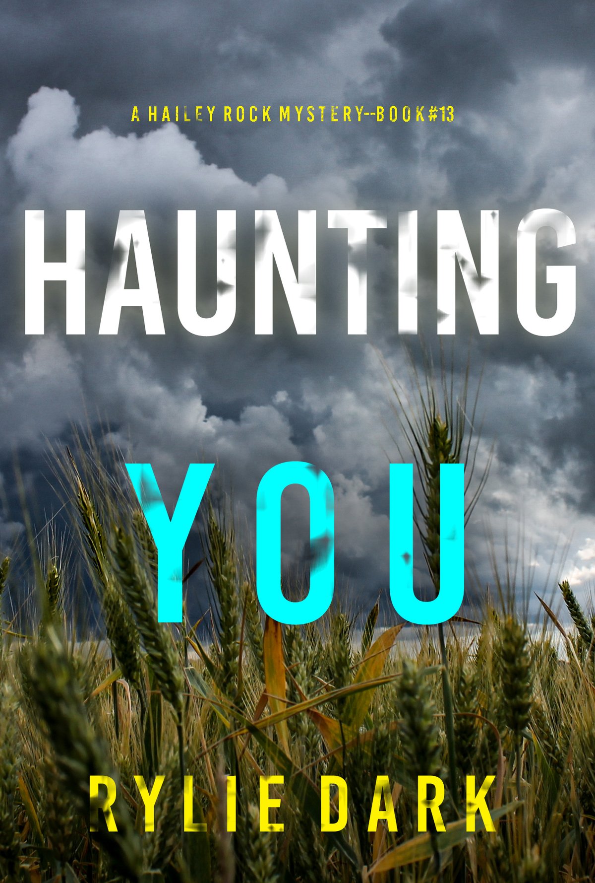 Cover of HAUNTING YOU