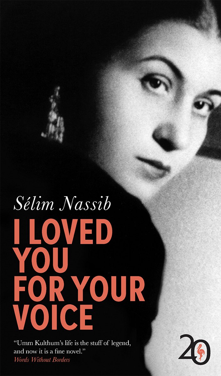 Cover of I Loved You for Your Voice (1924)