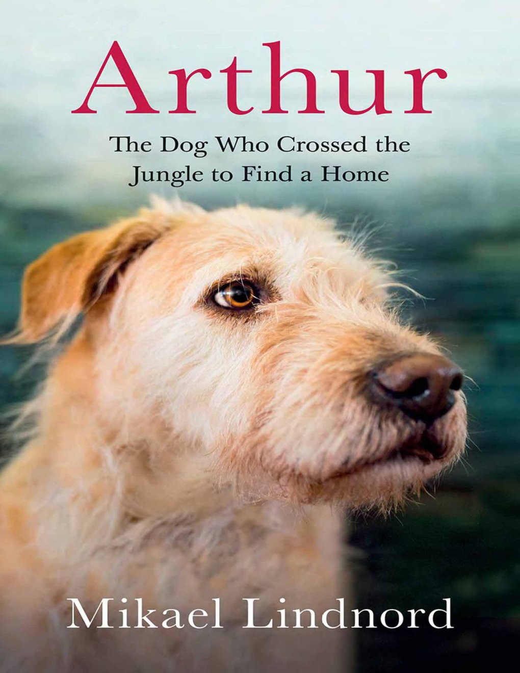 Cover of Arthur