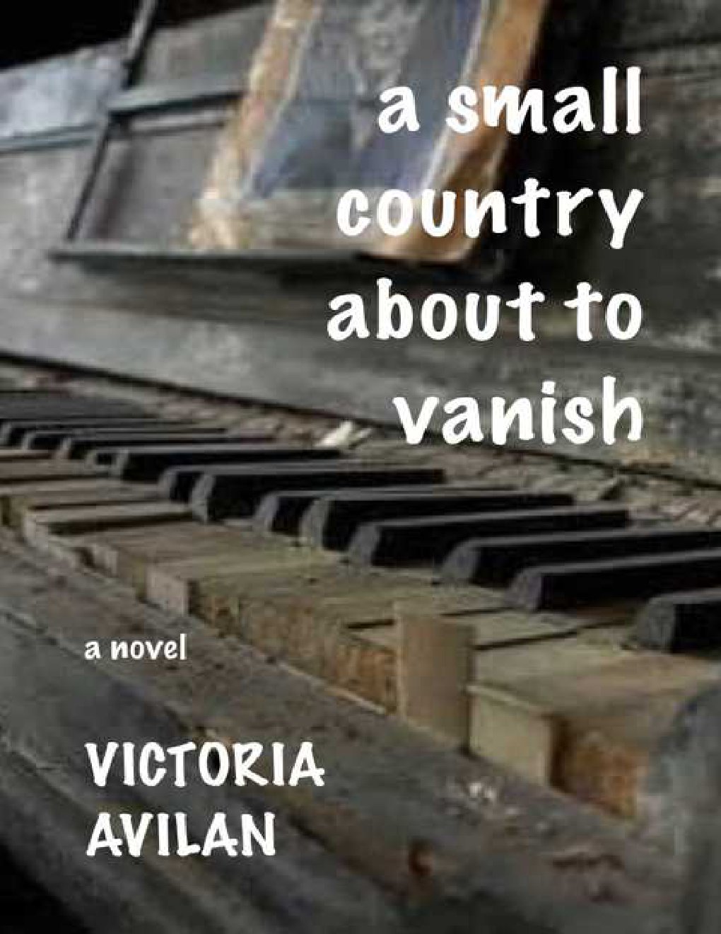 Cover of A Small Country About to Vanish