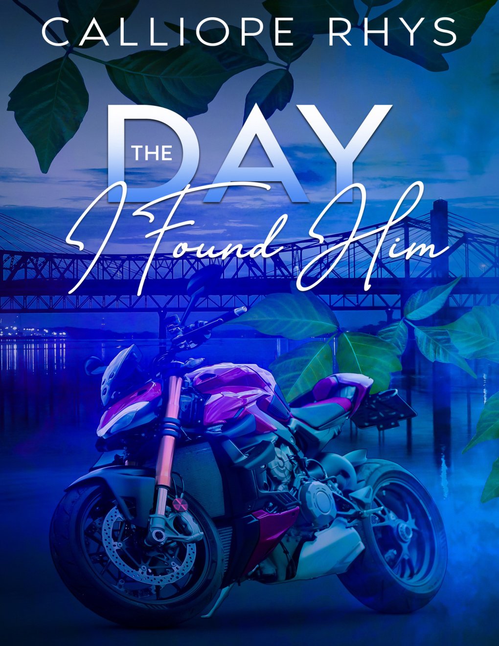 Cover of The Day I Found Him (Lost and Found Book 2)